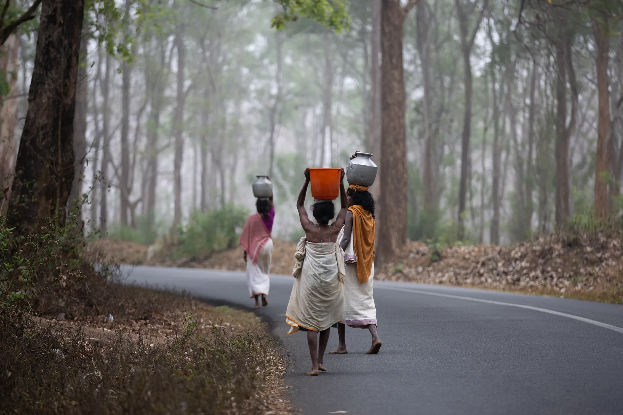 Adivasi families in Wayanad taking part in a Thrya community programme